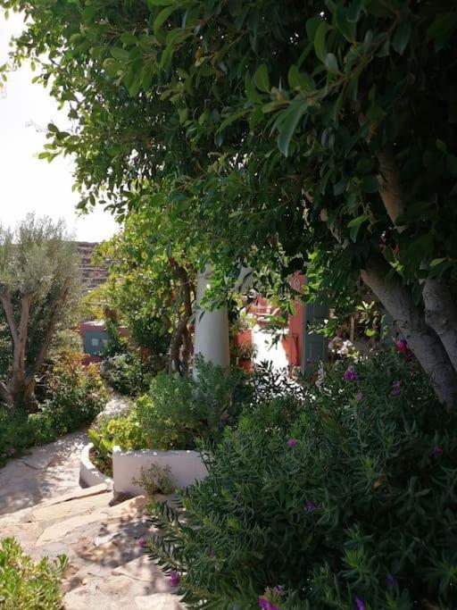 Casa Dei Melograni At Vourlidia Leros Villa Vromolithos Eksteriør billede