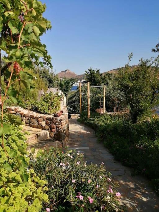 Casa Dei Melograni At Vourlidia Leros Villa Vromolithos Eksteriør billede